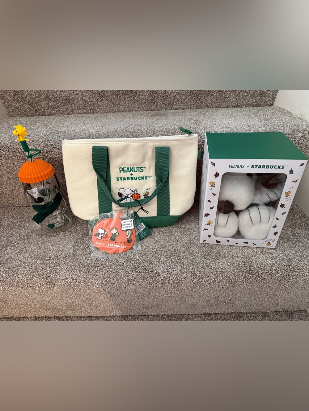 Starbucks Peanuts Snoopy Plush, Glass Cold Cup, Mini Tote & Pin Set